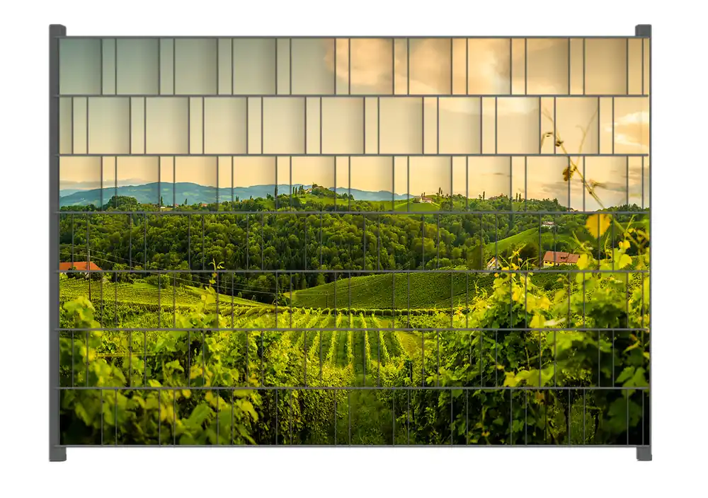 Angebot Zaunsichtschutz Abendlicht über Weinbergen Breite 250 cm x Höhe 180 cm