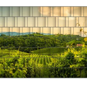Geprüft Zaunsichtschutz Abendlicht über Weinbergen Breite 200 cm x Höhe 140 cm