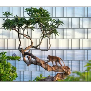 Sale Zaunsichtschutz Affe auf Baum Breite 200 cm x Höhe 200 cm