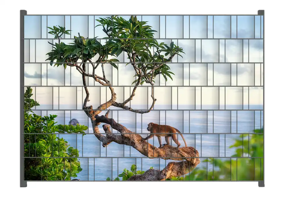 Preisknaller Zaunsichtschutz Affe auf Baum Breite 200 cm x Höhe 140 cm