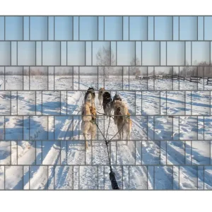Angebot Zaunsichtschutz Hundeschlitten im Schnee Breite 200 cm x Höhe 140 cm