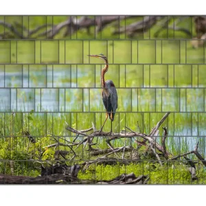 Begrenztes Angebot Zaunsichtschutz Graureiher am Wasser Breite 200 cm x Höhe 140 cm