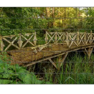 Jetzt Kaufen Zaunsichtschutz Verwunschene Brücke Breite 250 cm x Höhe 140 cm