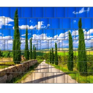 Echt Zaunsichtschutz Zypressenweg in der Toskana Breite 250 cm x Höhe 180 cm