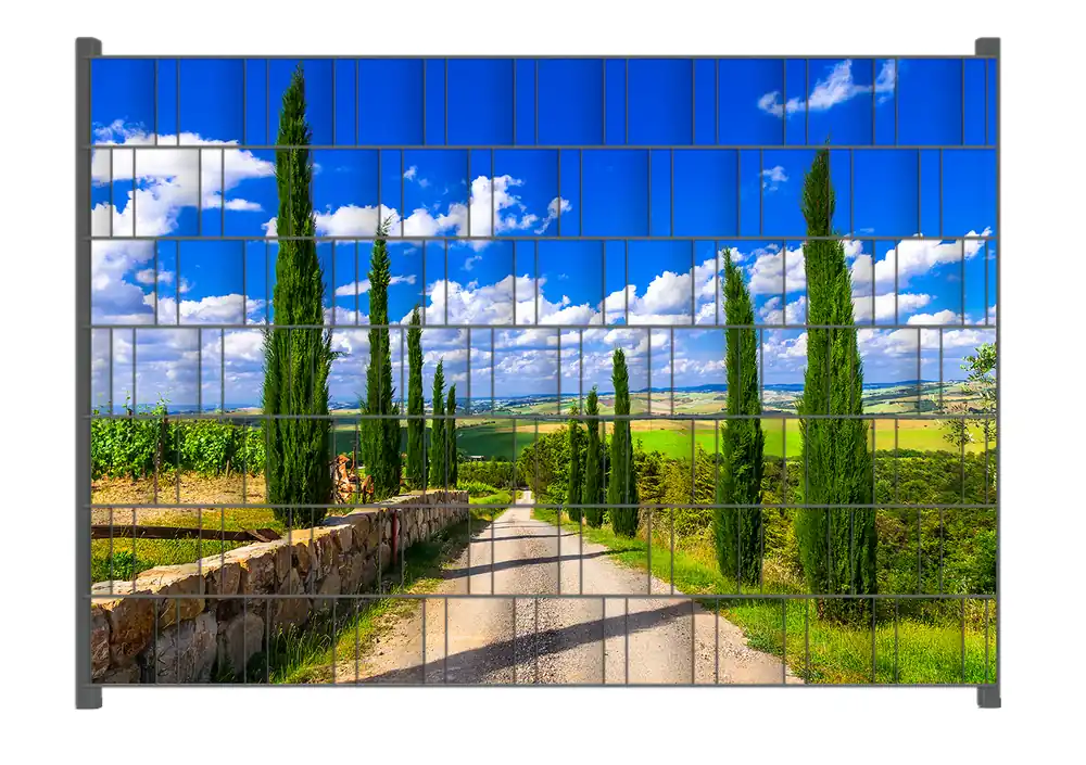 Echt Zaunsichtschutz Zypressenweg in der Toskana Breite 250 cm x Höhe 180 cm