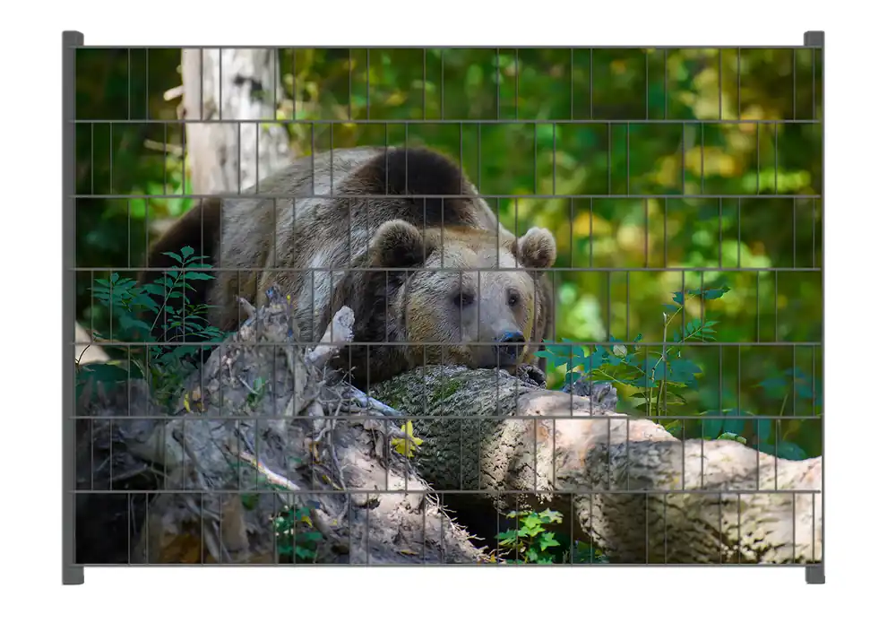 Zaunsichtschutz Bär im Wald Breite 200 cm x Höhe 140 cm Angebot