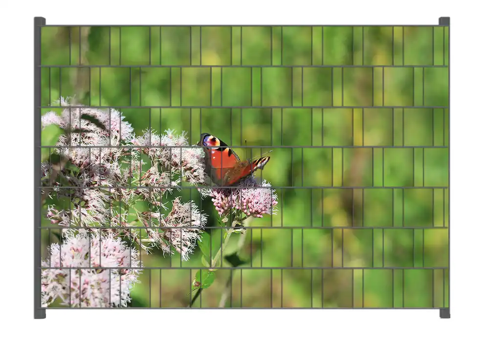 Direkt Vom Hersteller Zaunsichtschutz Schmetterling auf Blüte Breite 250 cm x Höhe 140 cm