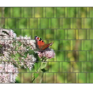 Aktuell Zaunsichtschutz Schmetterling auf Blüte Breite 200 cm x Höhe 140 cm