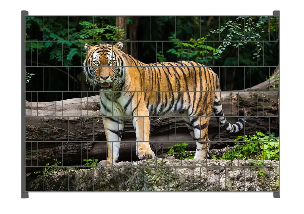 Neu Zaunsichtschutz Blick des Tigers Breite 250 cm x Höhe 180 cm