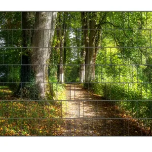 Günstig Zaunsichtschutz Weg im Sonnenlicht Breite 250 cm x Höhe 180 cm