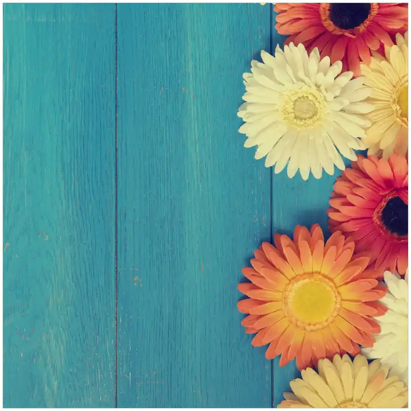 Nur Heute Kühlschranksticker Bunte Gerbera auf Holz 60 x 60 cm, Selbstklebende Folie