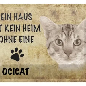 Nur Für Kurze Zeit Metallbild Blechschild Spruch 30x20cm Ocicat Katze ohne kein Heim 20 x 30 cm