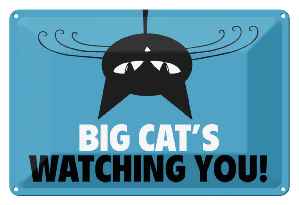 Abverkauf Metallbild Blechschild Spruch 30x20cm Big cat`s watching you Katze 20 x 30 cm