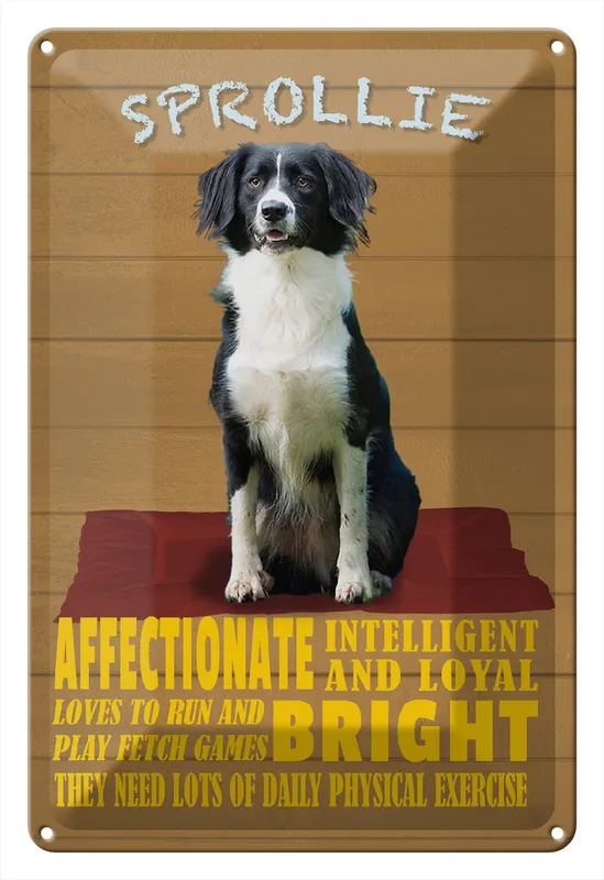 Metallbild Blechschild Spruch 20x30cm Sprollie Hund intelligent loyal 20 x 30 cm Begrenztes Angebot