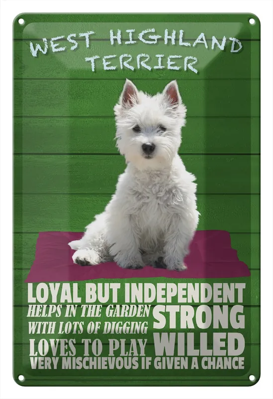 Wochenendangebot Metallbild Blechschild Spruch 20x30cm West Highland Terrier Hund loyal 20 x 30 cm