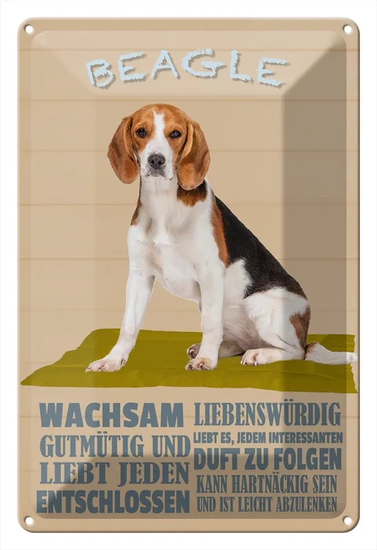 Jetzt Bestellen Metallbild Blechschild Spruch 20x30cm Beagle Hund gutmütig liebt jeden 20 x 30 cm