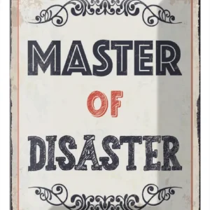 Abverkauf Metallbild Blechschild Spruch 20x30 cm Master of disaster Schild 20 x 30 cm