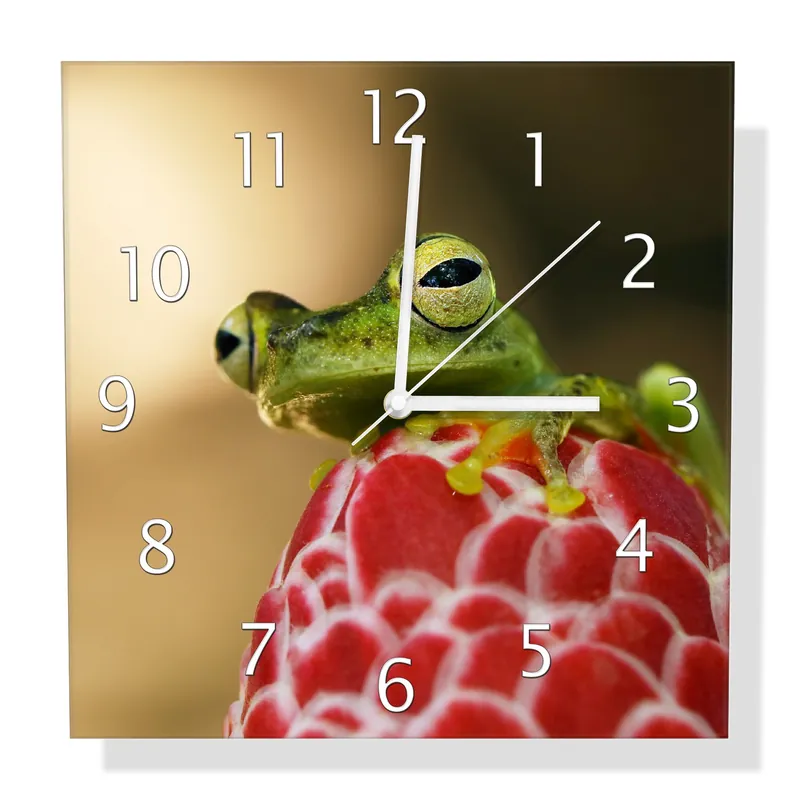Aktuell Wanduhr aus Glas Frosch sitzt auf einer Knospe mit schwarzen Zeigern, 30 x 60 cm