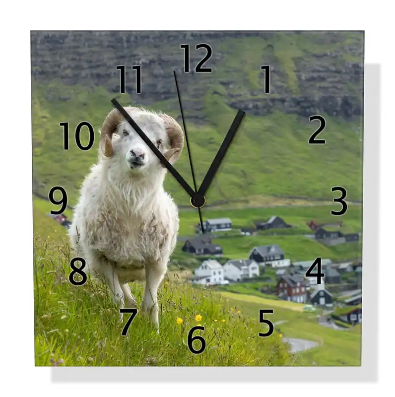 Wanduhr aus Glas Wildes Schaf in der Natur mit schwarzen Zeigern, 30 x 60 cm Ausverkauf