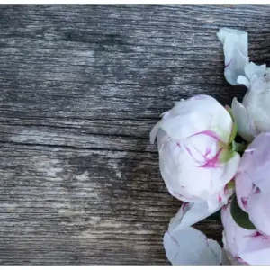 Schneller Versand Memoboard Pinke Blumen auf Holz 32 x 80 cm, aus Glas