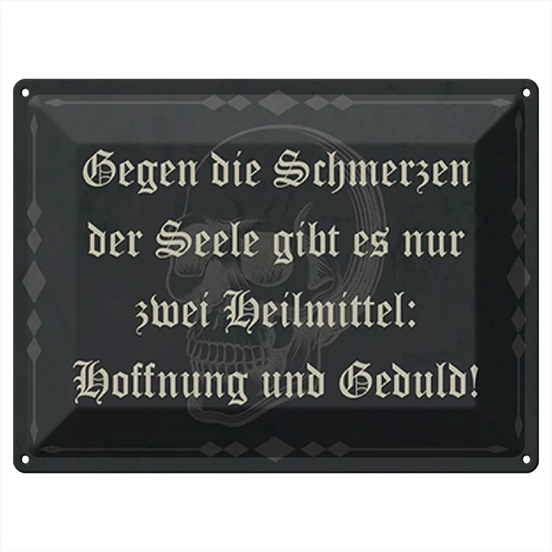 Metallbild Blechschild Spruch 40x30cm Schmerzen Seele zwei Heilmittel 30 x 40 cm Neu Im Sortiment