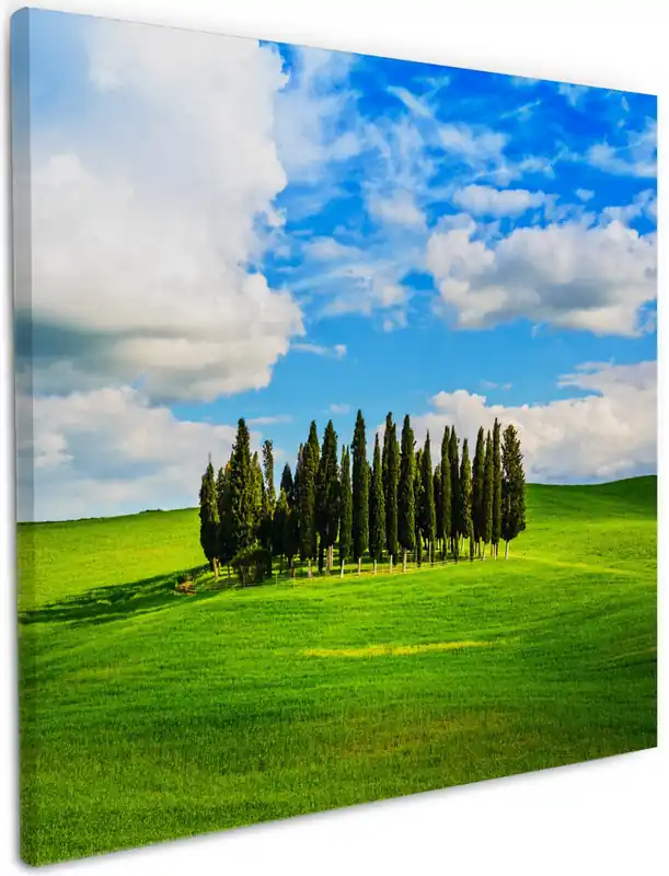 Markenware Leinwandbild Kleiner Wald inmitten einer weiten Wiese 50 x 125 cm