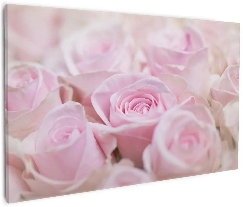 Kracherpreis Leinwandbild Rosafarbene Rosenblüten im Strauß 30 x 75 cm