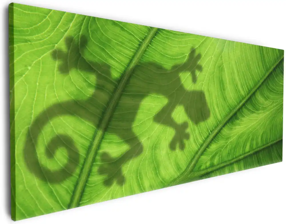 Leinwandbild Gecko Schatten auf grünem Blatt - Umriss 50 x 125 cm Super-Preis