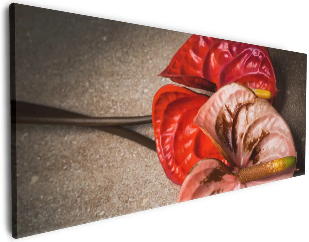 Leinwandbild Blüten einer Flamingoblume - Anthurie - auf schwarzem Marmor 60 x 90 cm Sonderangebot