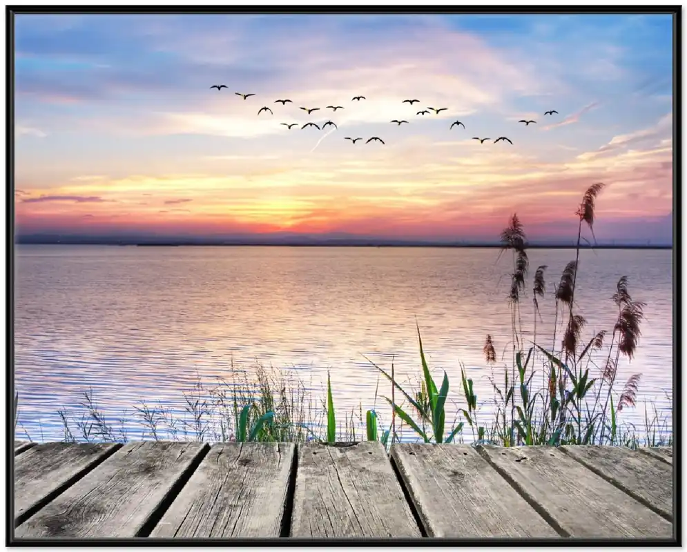 Poster Seepanorama mit Schilf und fliegenden Vögeln 70 x 100 cm, mit weißem Aluminumrahmen Saisonangebot