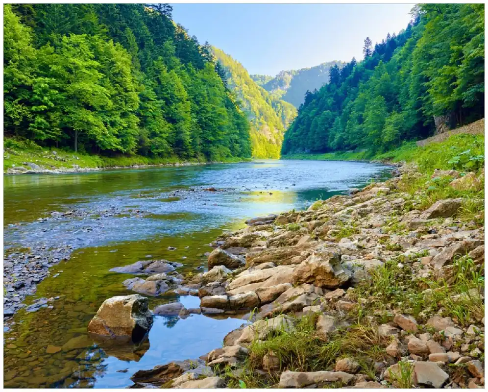 Poster Fluss in den Bergen an steinigem Ufer 100 x 150 cm Kostenloser Versand