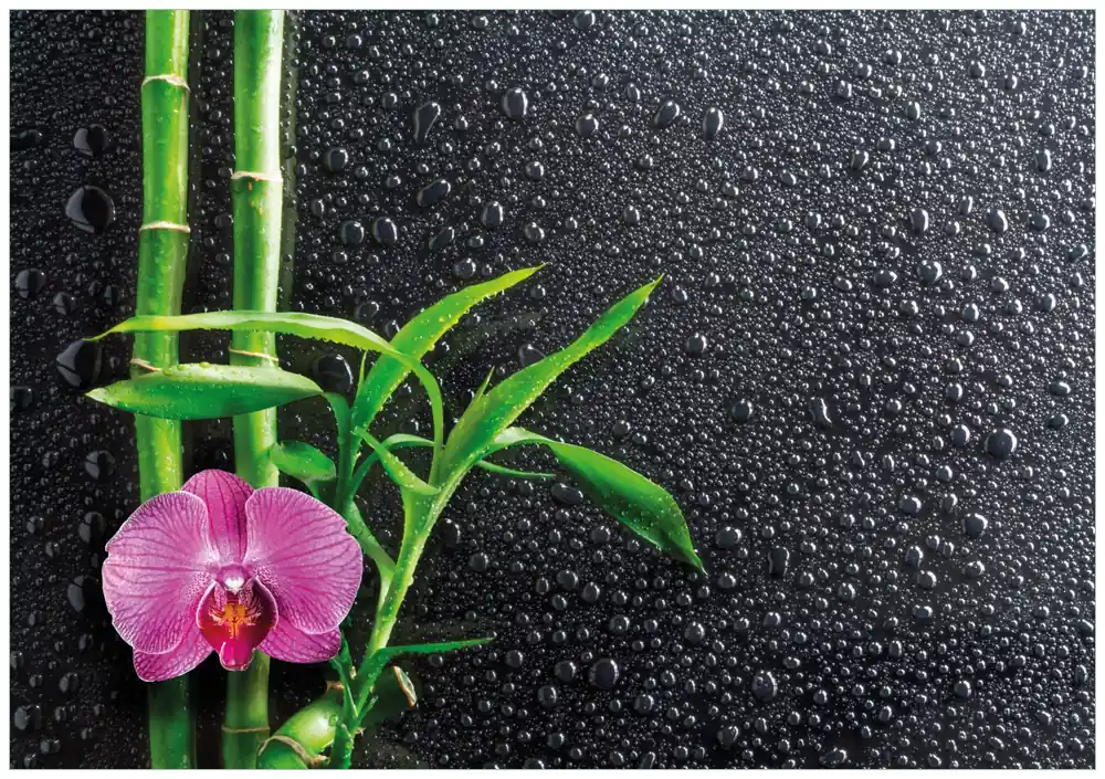 Markenprodukt Poster Bambus und pinke Orchidee auf schwarzem Glas mit Regentropfen 40 x 50 cm, mit weißem Aluminumrahmen