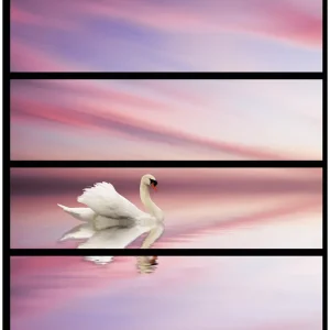 Möbelfolie Weißer Schwan im rosafarbenen See 4 Teile à 20 x 80 cm Top-Seller