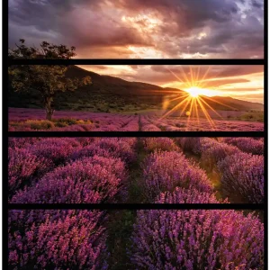 Bestpreis Möbelfolie Lavendelfeld bei Sonnenuntergang - Sonnenstrahlen 4 Teile à 20 x 80 cm