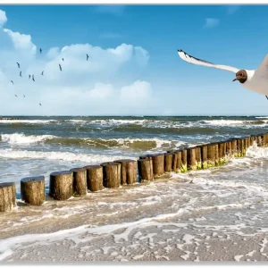 Ausverkauf Glasunterlage Fliegende Möwe am Strand 30 x 40 cm