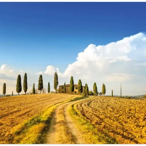 Aktuell Vliestapete Italien - Toskana unter blauem Himmel einsame Farm 400 x 267 cm